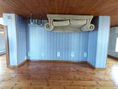 -金山农民画村-枫泾波兰倒置屋