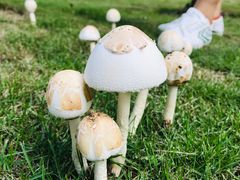 -月湖风景区