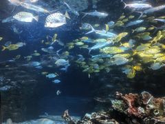 -太平洋海底世界