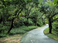 -燕晗山郊野公园
