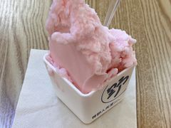 -野人先生Gelato(上海长宁龙之梦店)