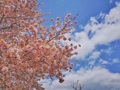 -奈良公园