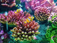 -暹罗海洋世界