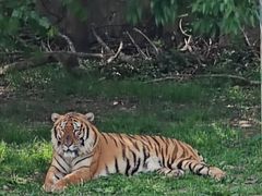 -常州淹城野生动物世界