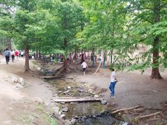 -白水寺森林公园