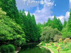 -上海共青森林公园
