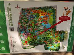 -共青国家森林公园-售票处