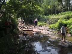 -重庆彩云湖湿地公园