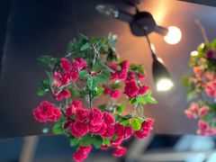 -芭缇沁园椰子鸡(中航紫金新天地店)