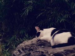-恭王府博物馆