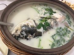 -天乐农家鱼头王(天目湖店)