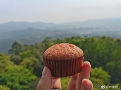 -水濂山森林公园
