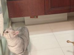 -喵汪宠物生活馆(涞坊路店)