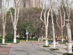 -西安市长乐公园