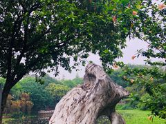 -云溪植物园