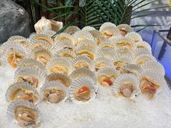 -初色海鲜自助(新辰里亚运村店)