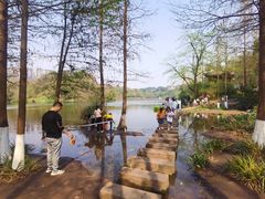 -重庆彩云湖湿地公园