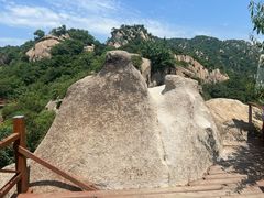 -大岭沟猕猴桃谷风景区