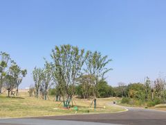 -盘龙城国家考古遗址公园