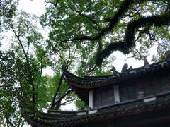 景点-蒋氏故居