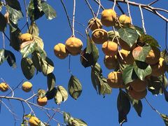 -百里峡七彩艺术小镇