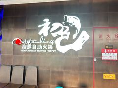 -初色海鲜自助(新辰里亚运村店)