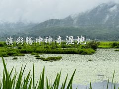-腾冲北海湿地