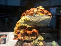 -青田石雕博物馆