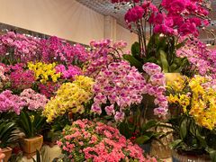 -双季花艺园艺市场(浦东店)