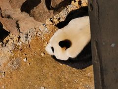 -宁波野生动物园