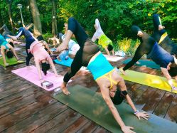 -兴亚瑜伽20年老馆