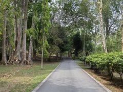 -中国科学院西双版纳热带植物园