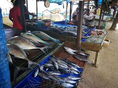 -尼甘布海鲜市场