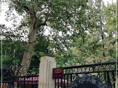 -徐家汇源景区-衡山公园