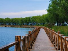 -野鸭湖国家湿地公园