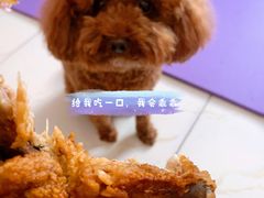 -潘老大炸鸡腿(九狮桥街店)