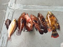 -三亚西岛海洋文化旅游区