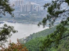 -铁山坪森林公园