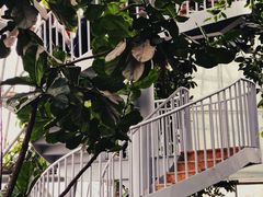 -郑州植物园