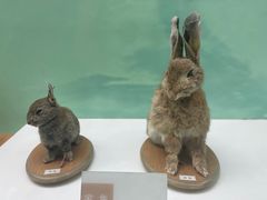 -国家自然博物馆