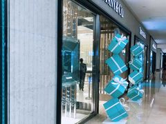 -Tiffany & Co.蒂芙尼
(南京德基广场店)