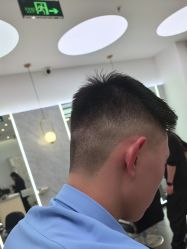 -YESIDO椰岛造型