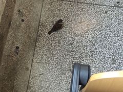 -中南财经政法大学(首义校区)