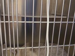-瑞派康怡24h宠物医院·犬猫医疗中心·微创绝育(瑞景分院)