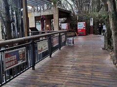 -金鸡山公园