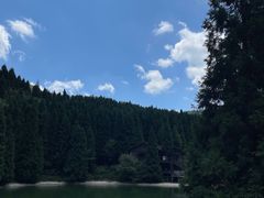 -武陵山森林公园