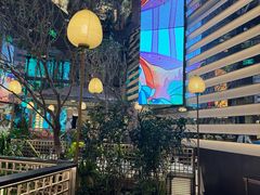 -桂满陇·海市蜃楼·黑金(国金店)