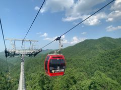 -栾川竹海野生动物园