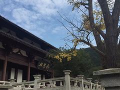 -孙武文化园-停车场