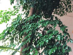 -山东政协大厦维景大酒店